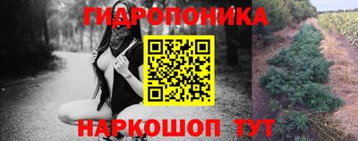 дживик Гай