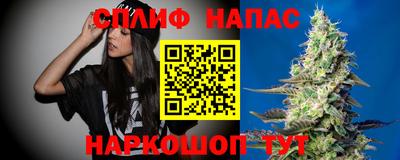дживик Гай