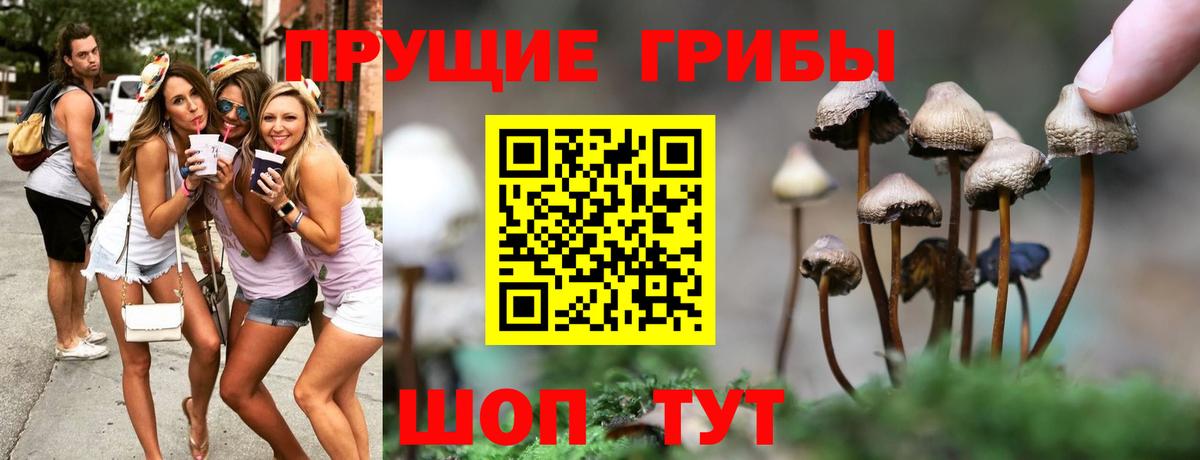Кондопога  купить закладку  Вход с VPN  Галлюциногенные грибы MAGIC MUSHROOMS 